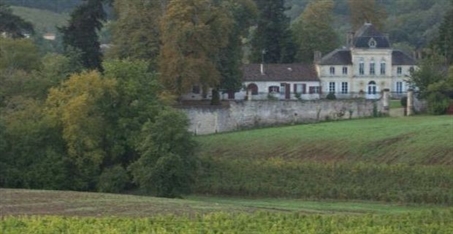 Hvorfor brakl&aelig;gges vinmarker p&aring; Chateau de Haux