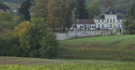 Hvorfor brakl&aelig;gges vinmarker p&aring; Chateau de Haux